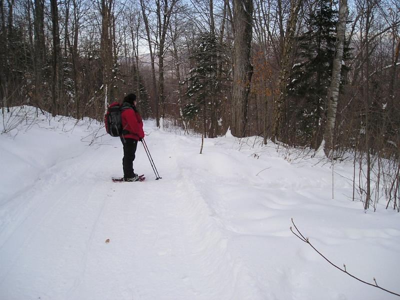 Stinson (6).JPG - About half way up the mountain we came across a snow mobile road that goes all the way to the top.